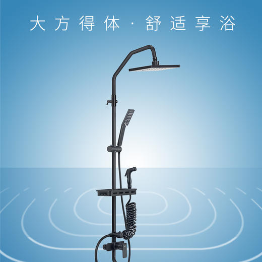 增压花洒SH7004HS黑色哑光 商品图0