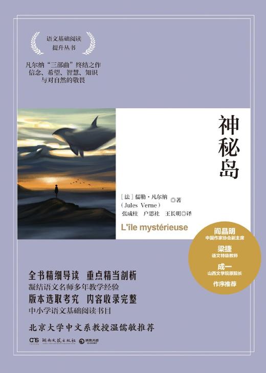 神秘岛/语文基础阅读提升丛书 商品图1