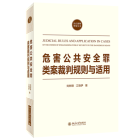 危害公共安全罪类案裁判规则与适用/法官裁判智慧丛书