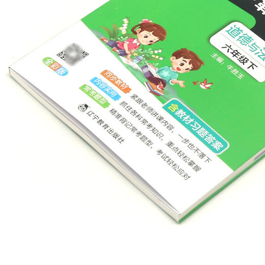道德与法治(6下全彩版)/小学学霸速记 商品图1