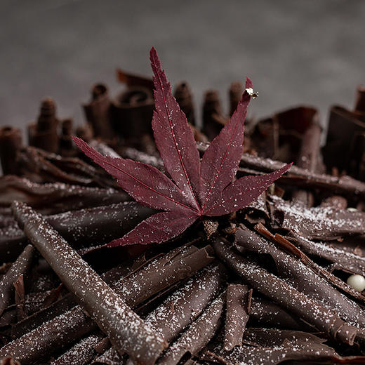 【神秘黑森林】树莓58%巧克力蛋糕 | 旋木烘焙 商品图1