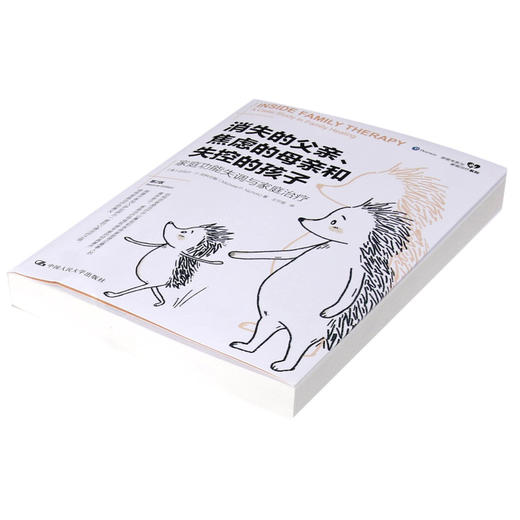 消失的父亲焦虑的母亲和失控的孩子(家庭功能失调与家庭治疗第2版)/亲密关系与家庭治疗系列 商品图2