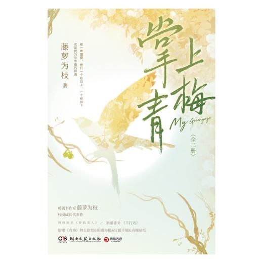 掌上青梅(共2册) 商品图1