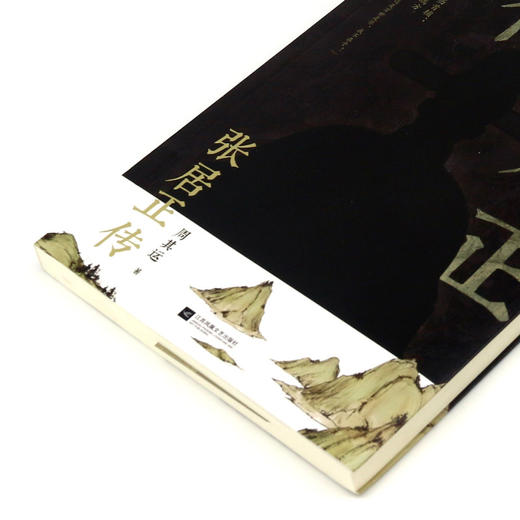 张居正传 商品图2