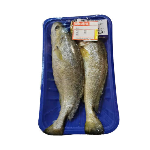 冰鲜黄鱼500g 商品图0