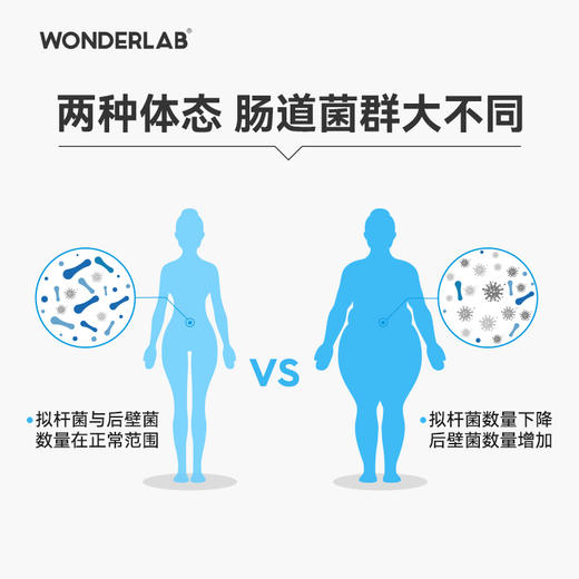 Wonderlab体重管理B420益生菌 成年大人儿童孕妇益生元冻干粉 商品图1