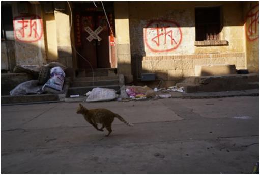 唐立红《隔河村》摄影集/中国视觉艺术出版社 商品图8