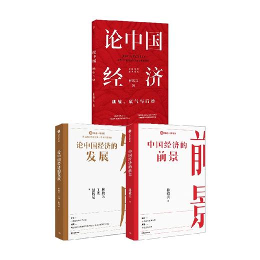 论中国经济的发展+中国经济的前景+论中国经济（套装3册）林毅夫 等著 展望中国发展趋势 中信出版 商品图0