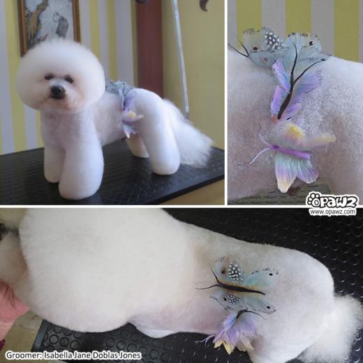 快染粉盒12色套装 OPAWZ小爪印 商品图8