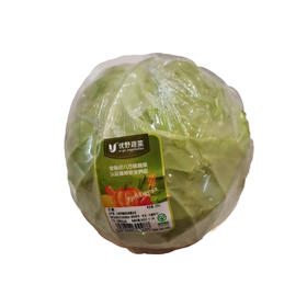 优野甘蓝600g