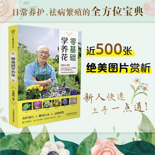 零基础学养花 商品图3