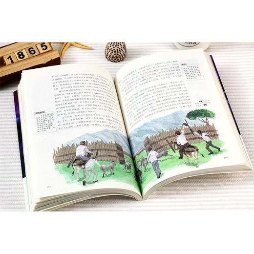 《神秘岛》名师导读版 商品图2