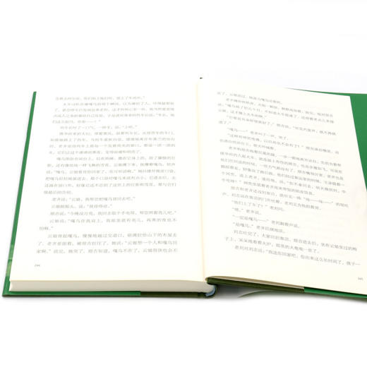 世界上所有的夜晚(精)/迟子建作品 商品图4