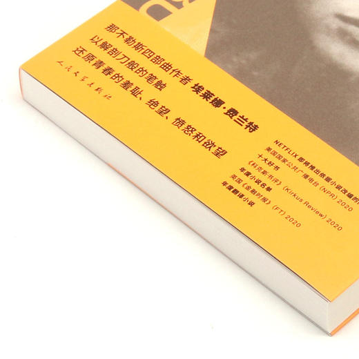 成年人的谎言生活/埃莱娜·费兰特作品系列 商品图2