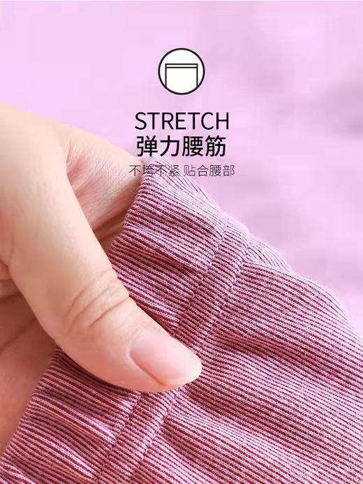 仕乐时尚中厚暗条纯棉女裤 商品图4