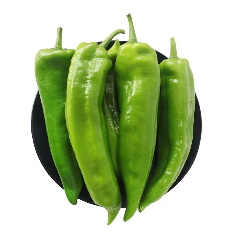尖椒480g-520g