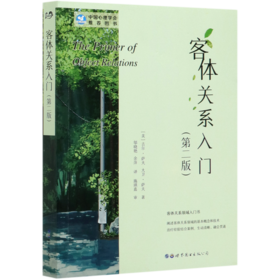 客体关系入门(第2版)