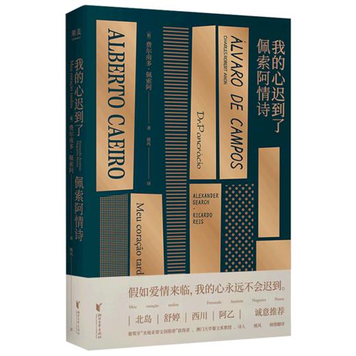 我的心迟到了(佩索阿情诗) 商品图0