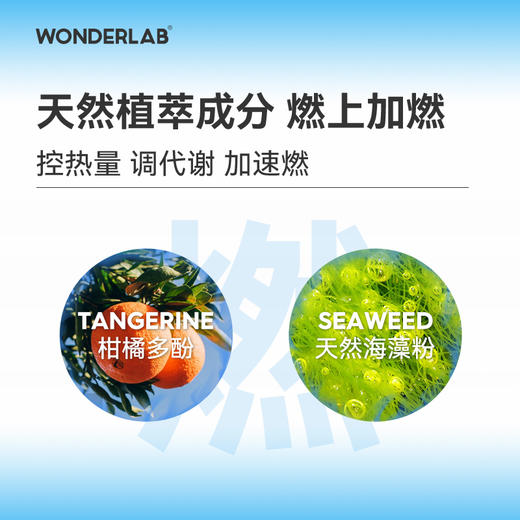 Wonderlab体重管理B420益生菌 成年大人儿童孕妇益生元冻干粉 商品图4