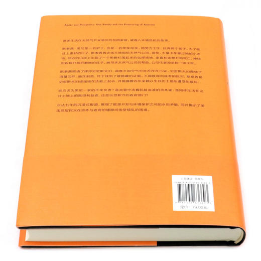 压裂的底层(精) 商品图3