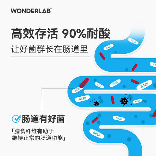 Wonderlab体重管理B420益生菌 成年大人儿童孕妇益生元冻干粉 商品图3