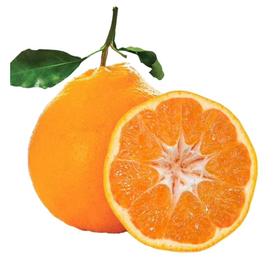 耙耙柑约500g/份【GY】