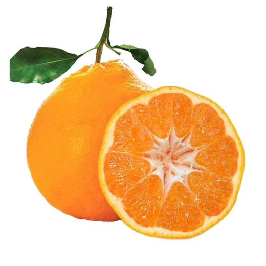 耙耙柑约500g/份【GY】 商品图0