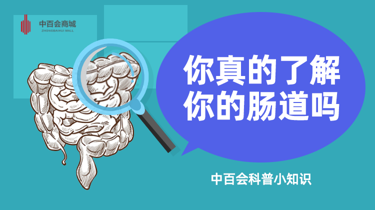 肠道的长度和宿便的重量