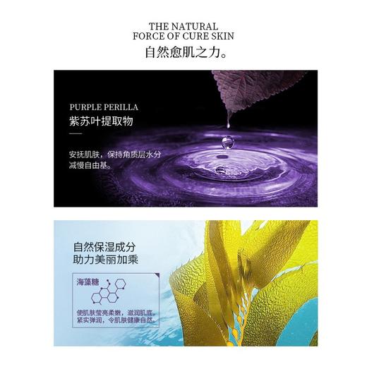 韩国德妃Dermafirm紫苏舒缓乳液200ml 商品图2