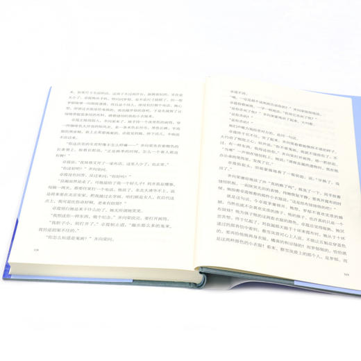 起舞(精)/迟子建作品 商品图4