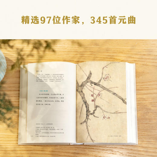 元曲三百首 马致远 著 诗词歌曲 商品图1