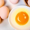 桂柳~土鸡蛋 商品缩略图0