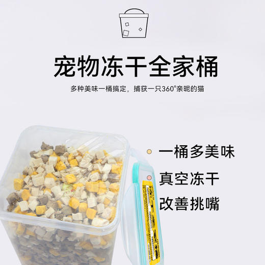 【积分商城】金多乐冻干猫零食助发腮500g 商品图2