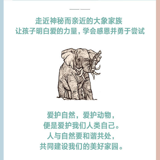 象童“吉象来啦”系列图画书（大东沟 著） 商品图2