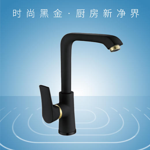 奢华黑金厨房菜盆水龙头ST2211 商品图0