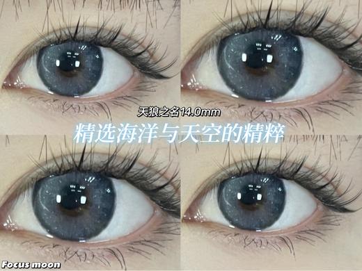 Focusmoon一副2片-天狼之名 商品图4