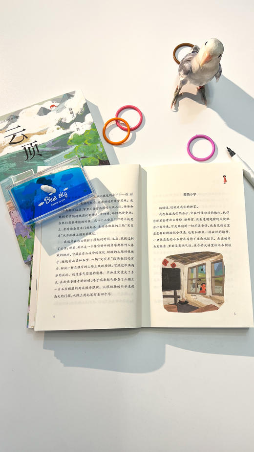 《云顶》  一部关注留守儿童群体的大爱之作，殷健灵携手“童伴妈妈”开启心灵净化之旅。 商品图4