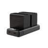 品胜 摄相机电池充电器 USB双能充像机电池 双口同时充支持18W快充 适用于F970 商品缩略图5
