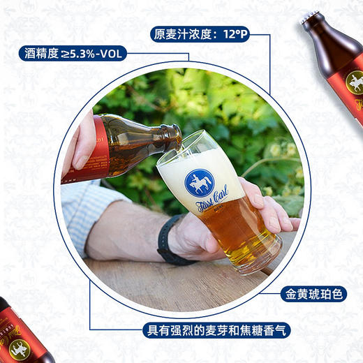 德国皇家精酿大麦拉格黄啤酒卡尔爵士fuerstcarl金城堡250ml*12瓶 商品图1