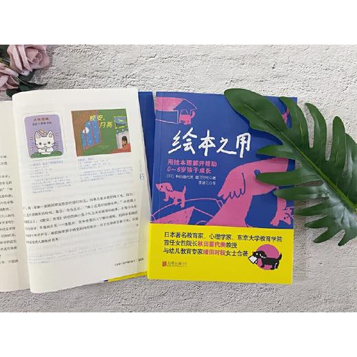绘本之用：用绘本理解并帮助0~6岁孩子成长 商品图3