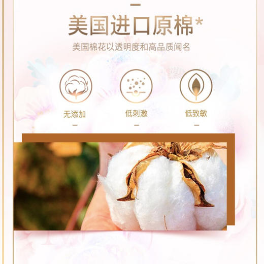 苏菲裸感S贵族棉极薄250日用卫生巾6片 商品图4
