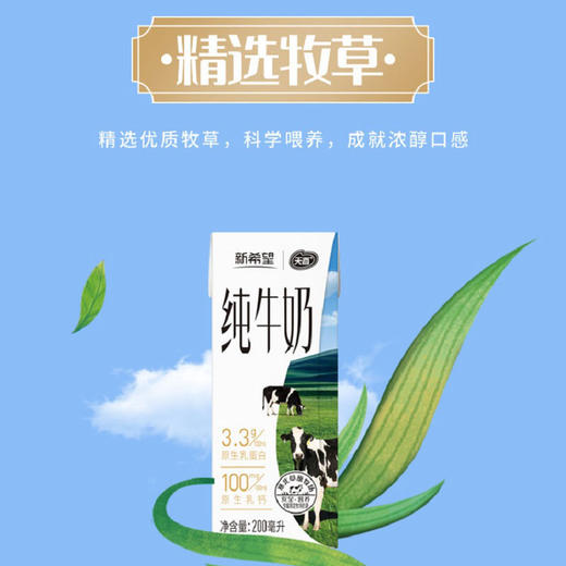 新希望天香纯牛奶200ml*12 商品图3