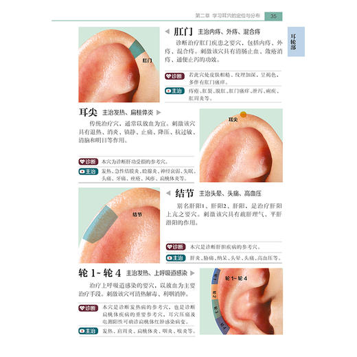 零基础学耳穴 商品图4