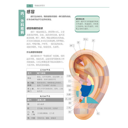 零基础学耳穴 商品图7