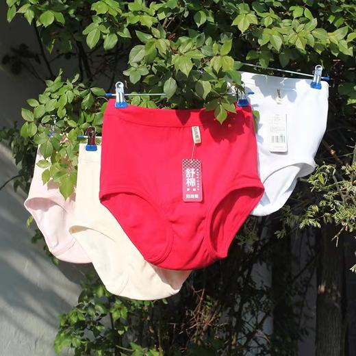 宜而爽女士罗纹三角内裤 商品图1