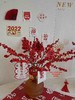 冬青瓶花 · 瓶插花  （花瓶单拍） 商品缩略图2