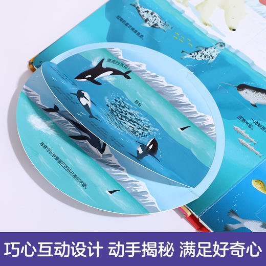 乐乐趣揭秘翻翻书系列 低幼版第二辑（全4册） 单本+套装 原价275.20元 商品图2