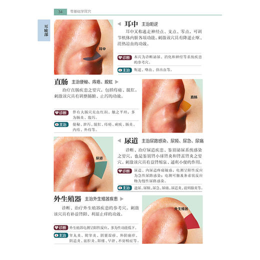 零基础学耳穴 商品图3