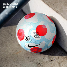 NIKE/耐克21-22赛季英超足球第三花色迷你球DH7419-100