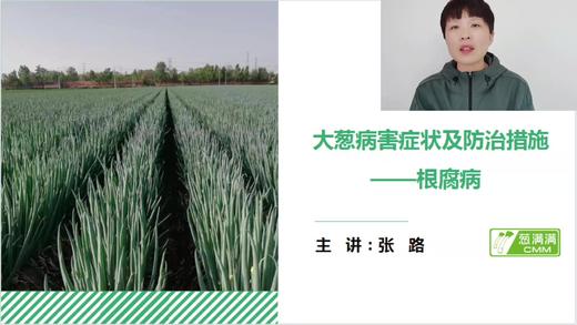 大葱病害防治——根腐病 商品图0